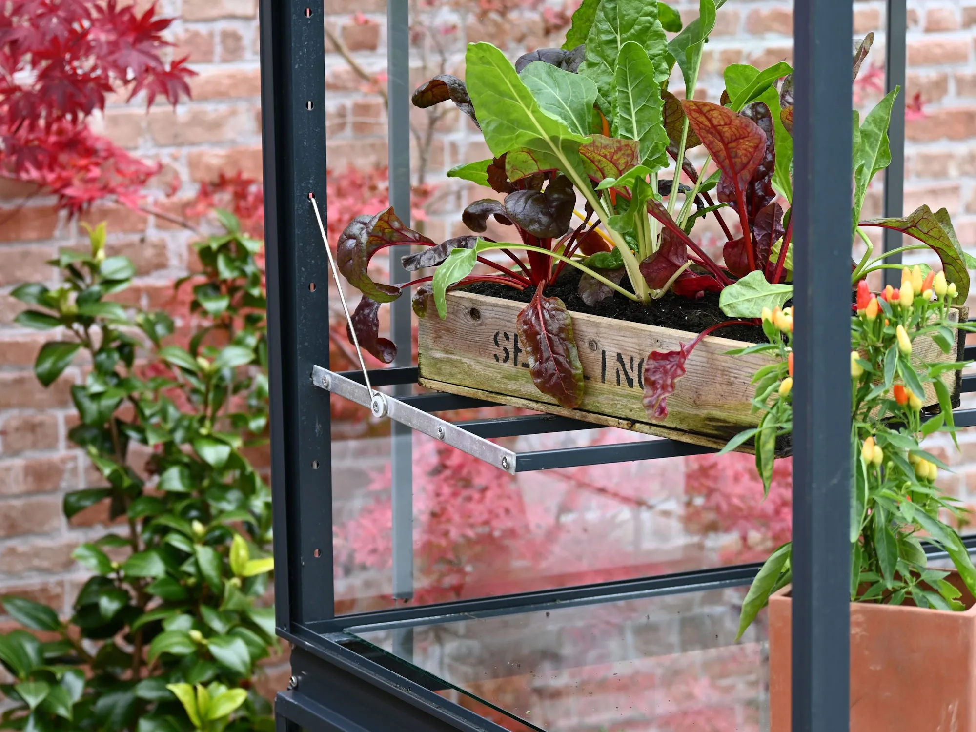 Access Exbury 3' 4" Classic Growhouse