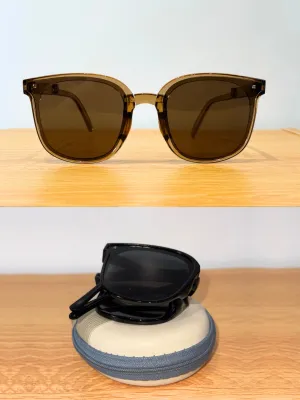 Folding Sunglasses (with free zippered pouch case)