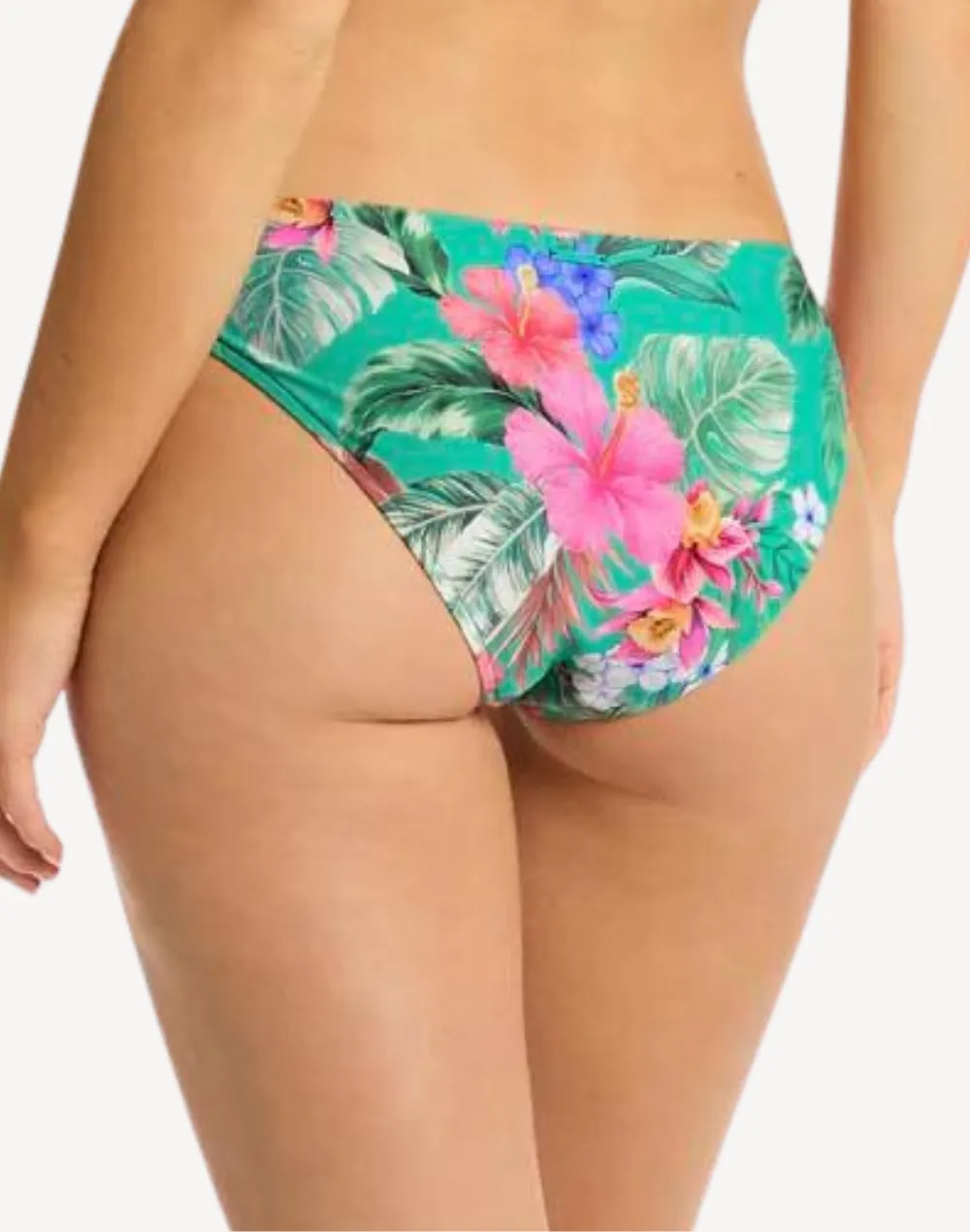 Pacifico Regular Cheeky Bikini Bottom