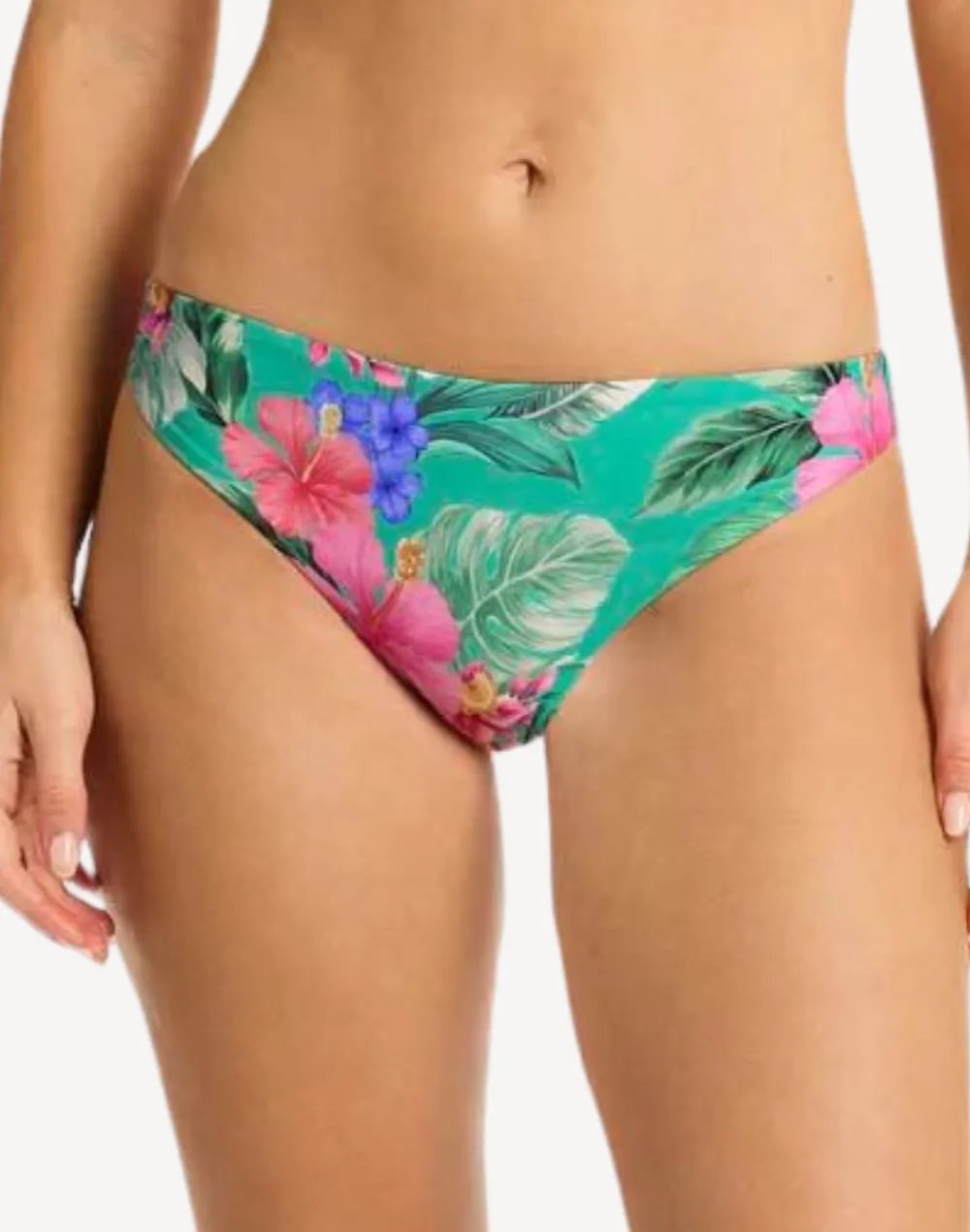 Pacifico Regular Cheeky Bikini Bottom