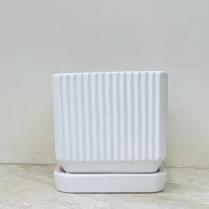 Rectangular White Ribbed Ceramic Planter with Tray – Modern Minimalist Indoor Pot