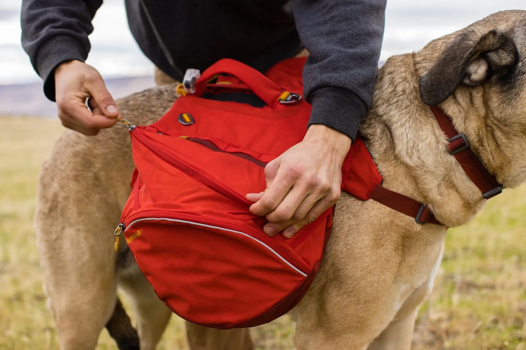 Ruffwear Palisades Pack