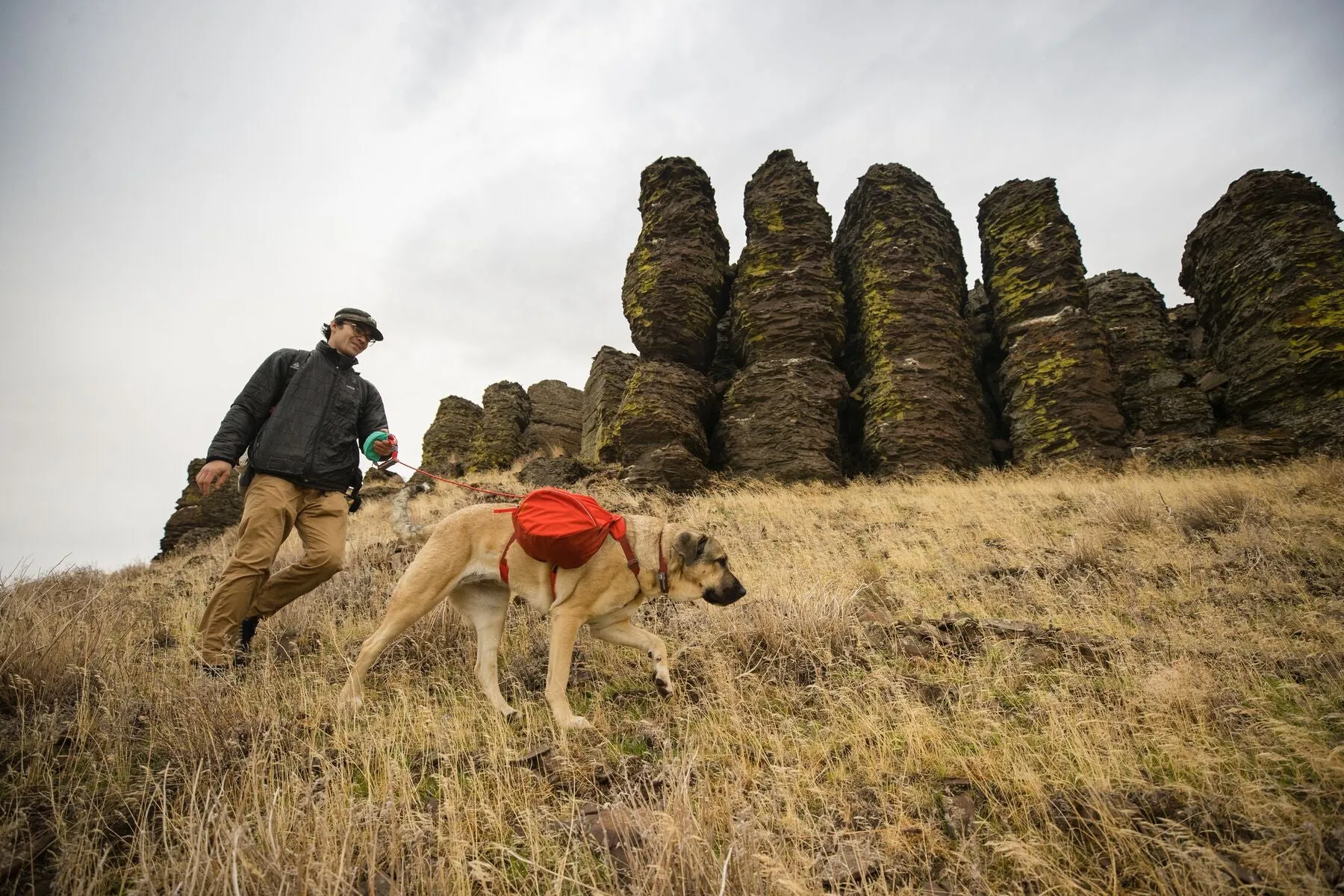 Ruffwear Palisades Pack