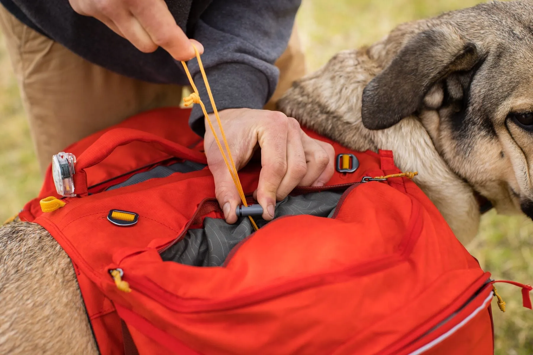 Ruffwear Palisades Pack