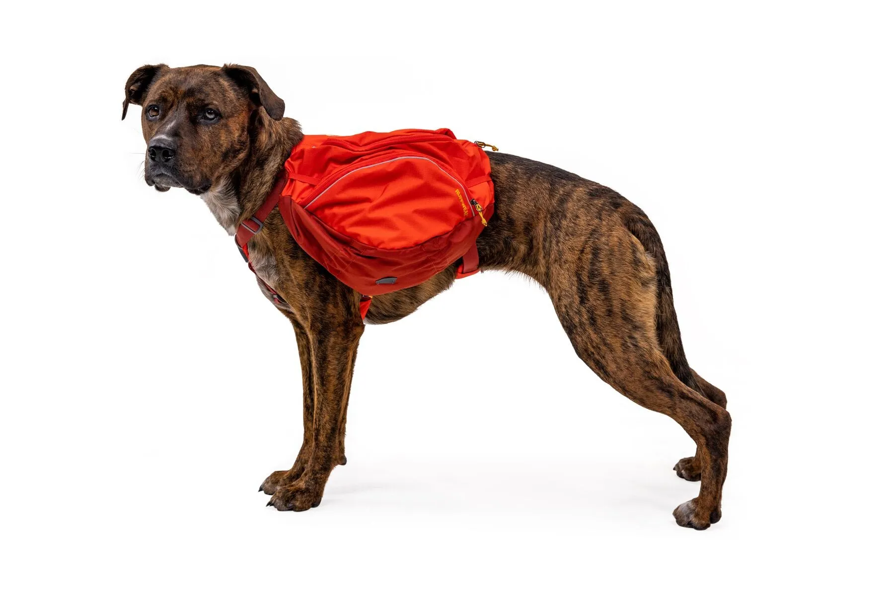 Ruffwear Palisades Pack
